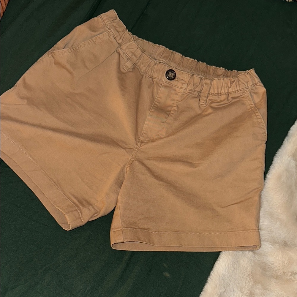 Chubbies “The Staples” Flat Front shorts